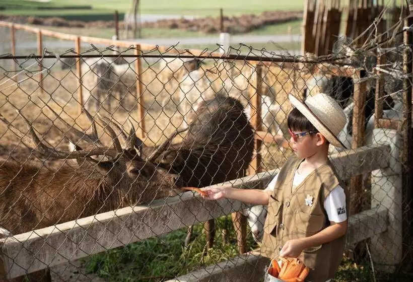Hotelli Bergh Apton Khao Yai