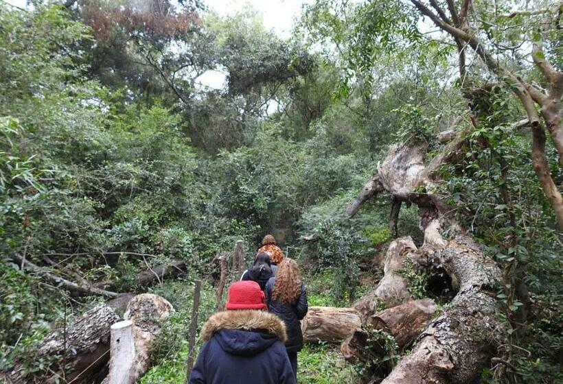 فندق El Descanso