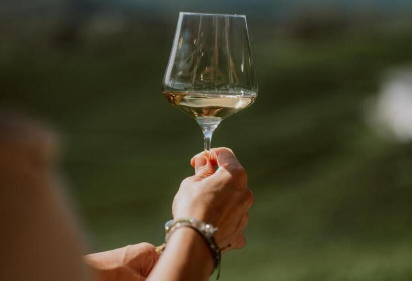 Отель Mahorko Wein Wellness Wasserbüffel