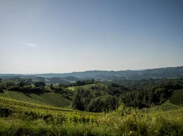 Hotelli Mahorko Wein Wellness Wasserbüffel