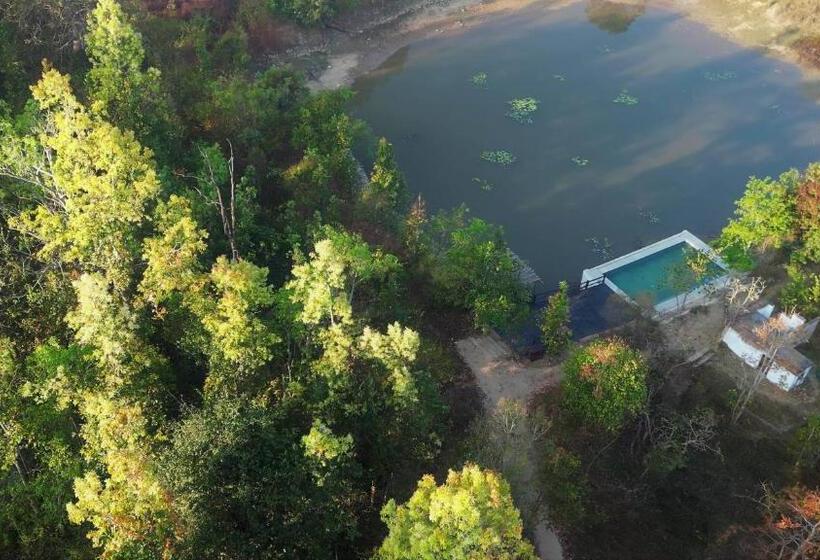 酒店 Saccharum Safari Lodge