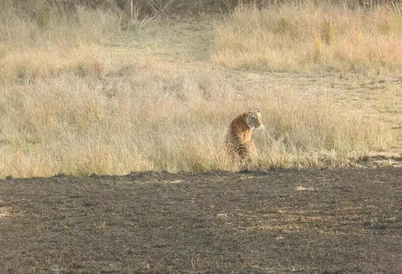 Hotelli Saccharum Safari Lodge