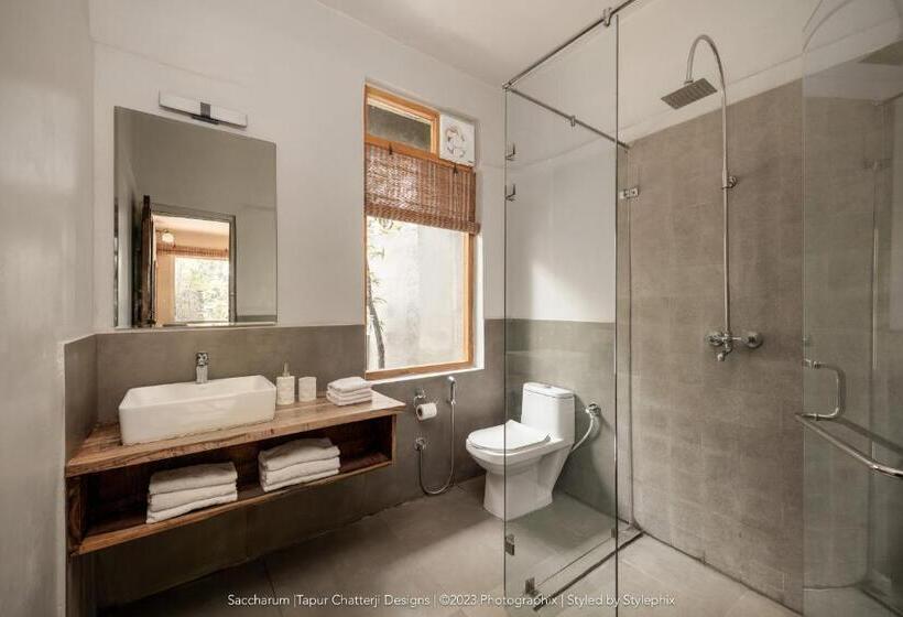 酒店 Saccharum Safari Lodge