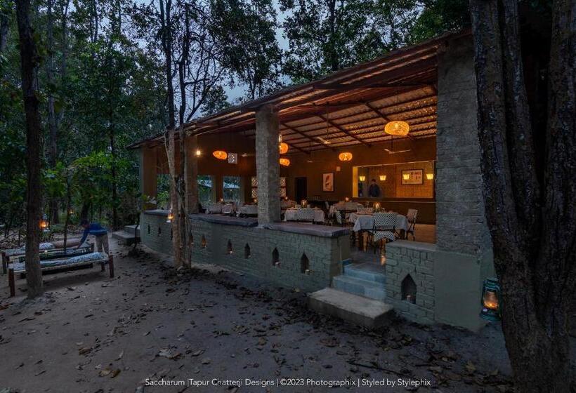 酒店 Saccharum Safari Lodge