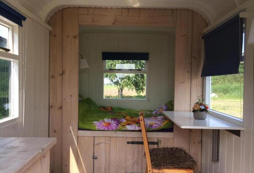 ホテル Sitting At The Bay