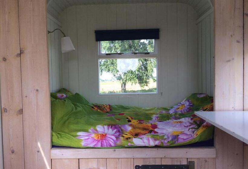 ホテル Sitting At The Bay