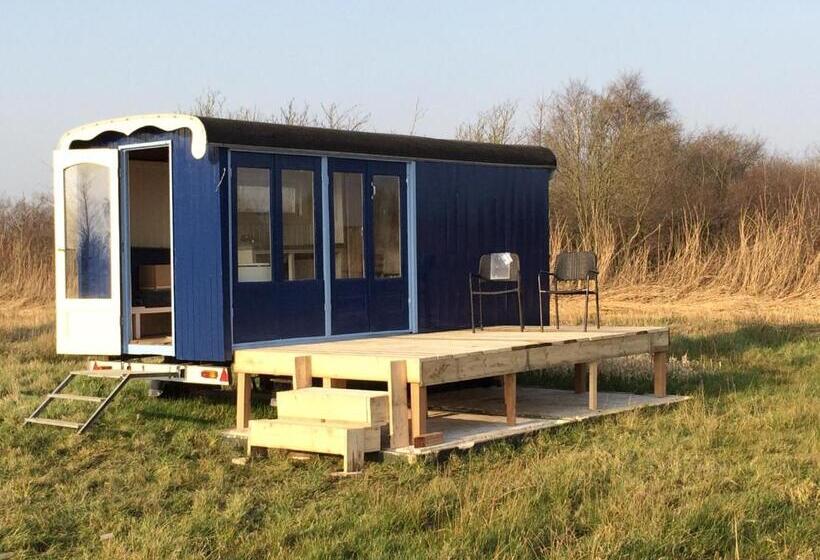 ホテル Sitting At The Bay