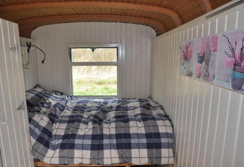 ホテル Sitting At The Bay