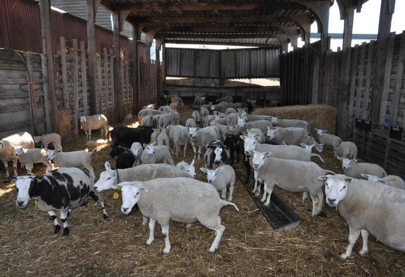 ホテル Sitting At The Bay