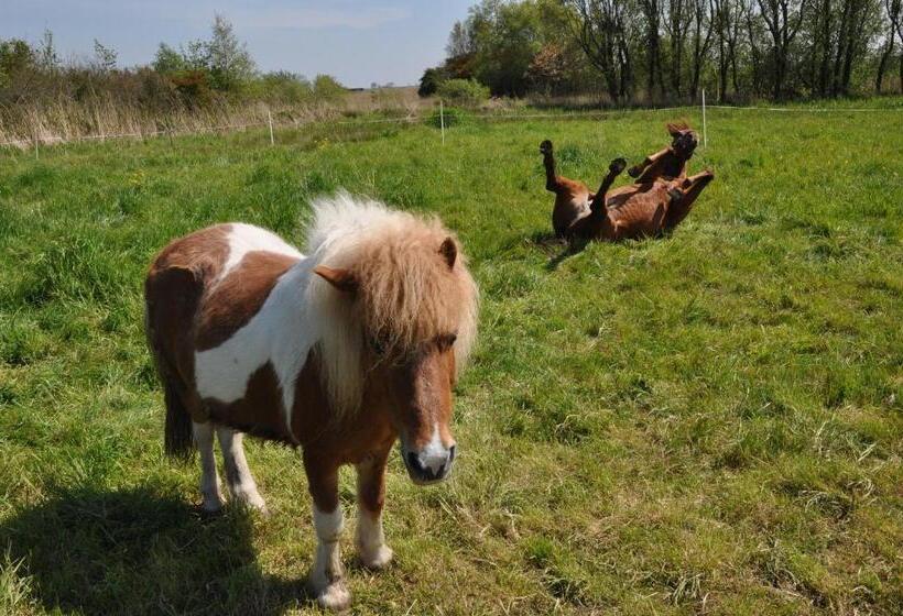 ホテル Sitting At The Bay