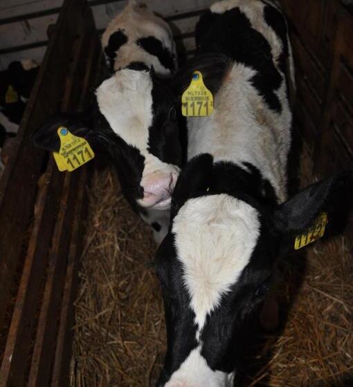 ホテル Sitting At The Bay