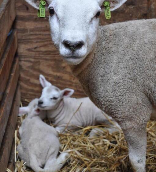 ホテル Sitting At The Bay