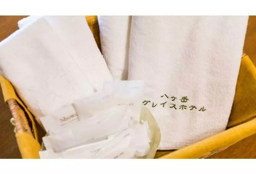 Yatsugatake Grace Hotel   Vacation Stay 03055v