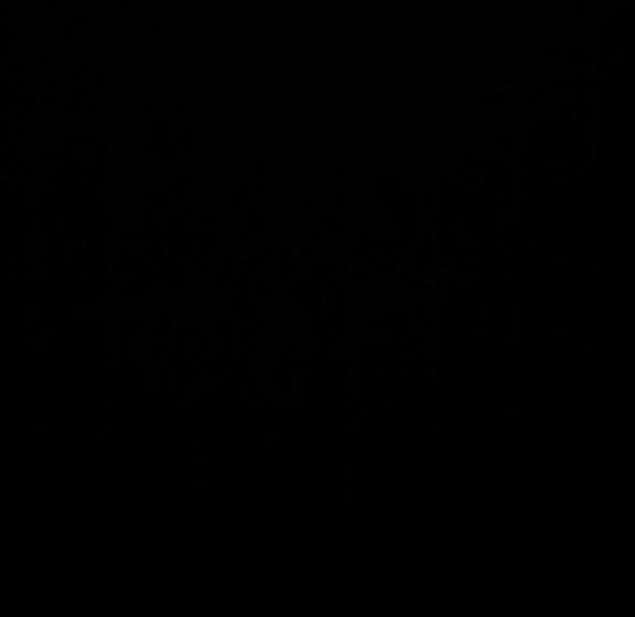 膳宿费 Andy S Lodge Kelimutu