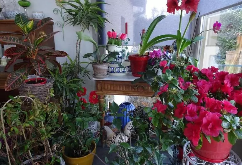 Majatalo B&b La Maison Des Collines Autour Chambres D Hôtes