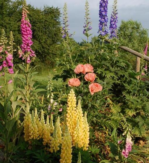 Pensionat B&b La Maison Des Collines Autour Chambres D Hôtes