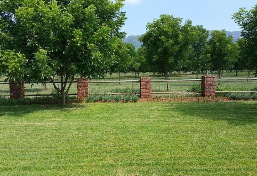 بنسيون Green Willows Guest House