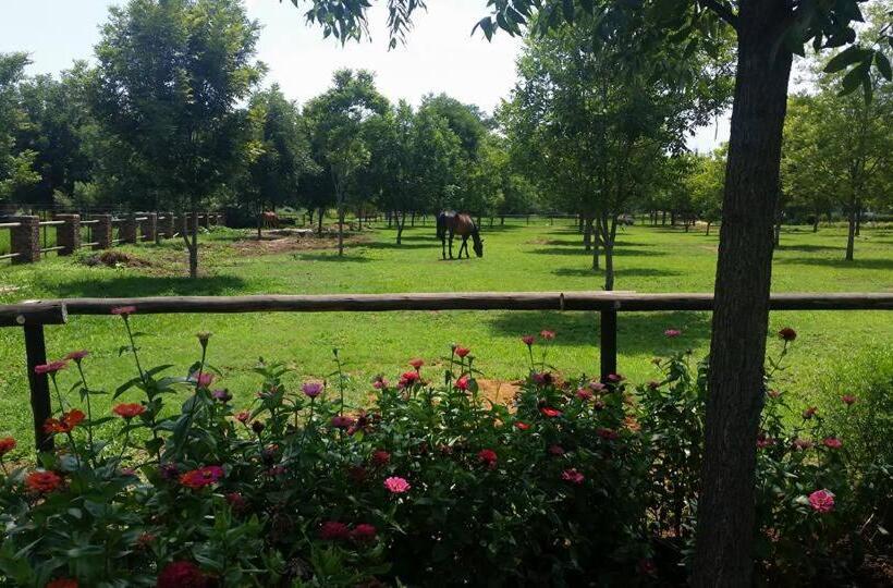 بنسيون Green Willows Guest House