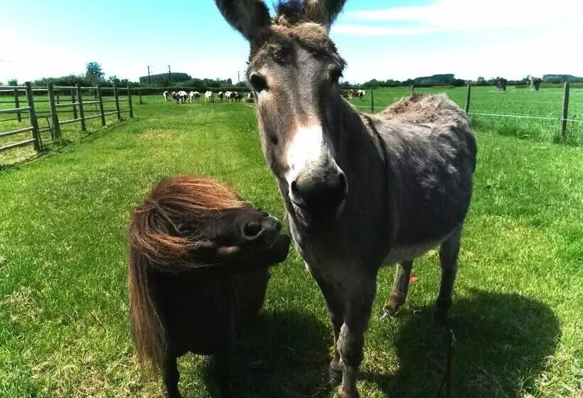 Majatalo Le Domaine Du Templier  Maréchal