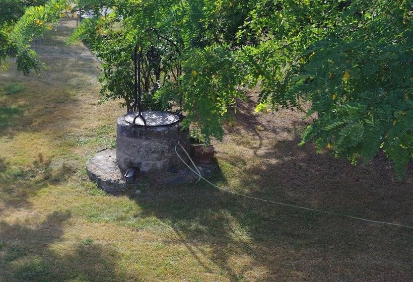 بنسيون Les Trois Cèdres