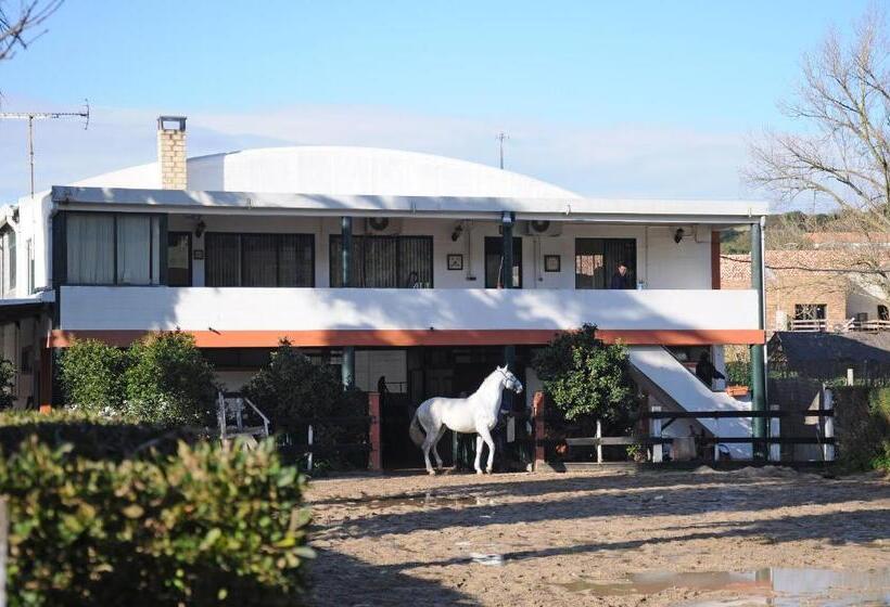 ペンション Sleep In Bucelas