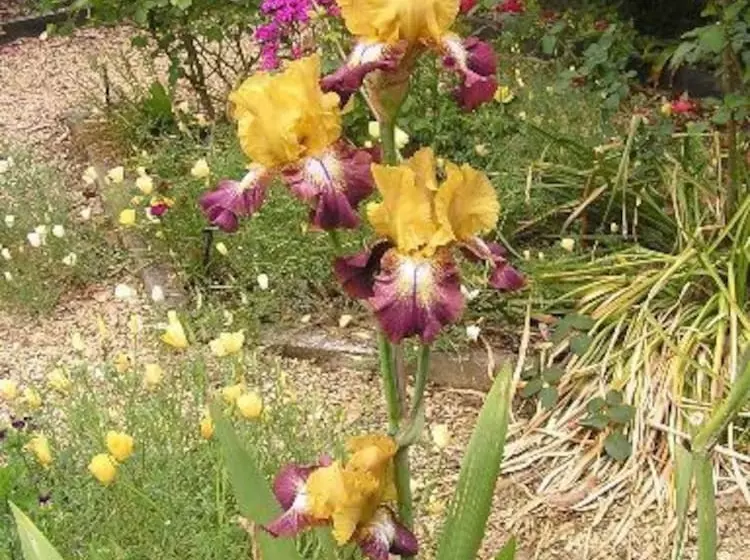 Bed and Breakfast Bendalls