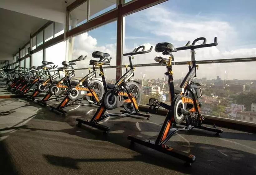 Diamond Plaza Apartments