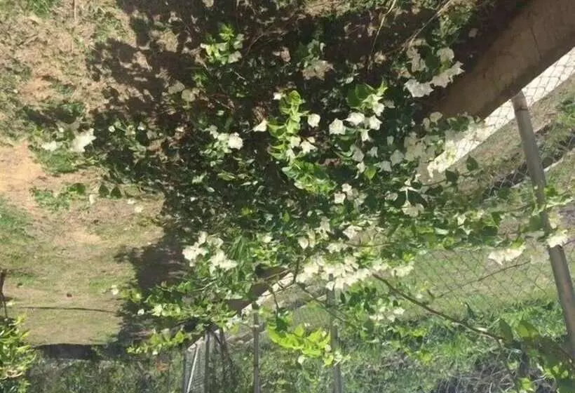 Faith's Villa of Tobago