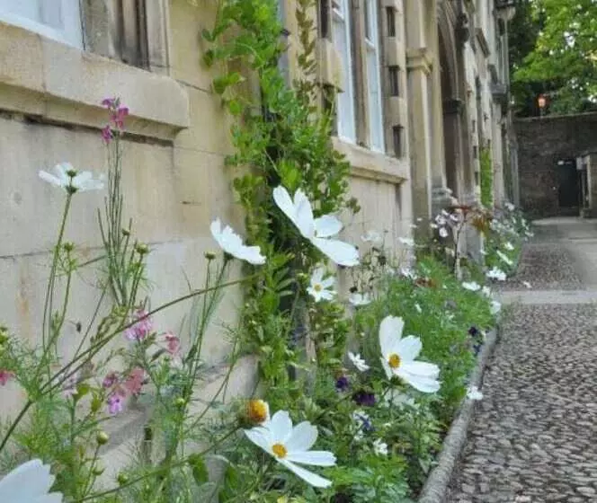 هتل Christ S College Cambridge