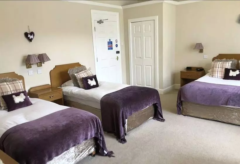 Hotel Glentower Lower Observatory