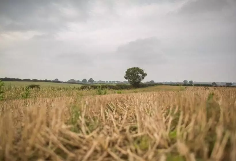 ホテル Riding Farm