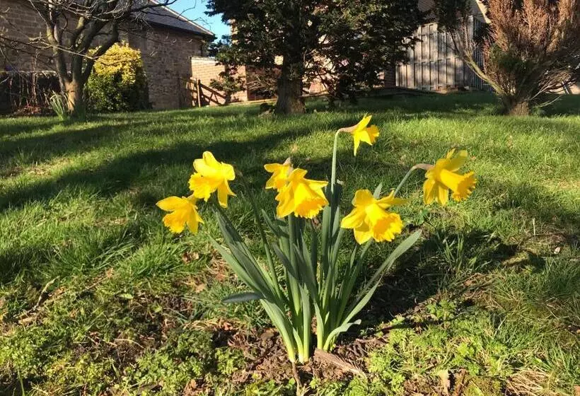 ホテル Riding Farm