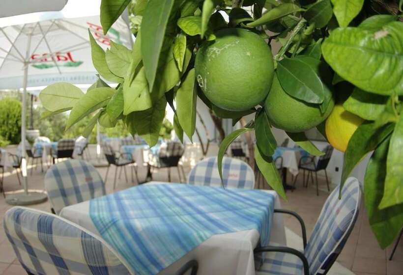 ホテル Villa Marija