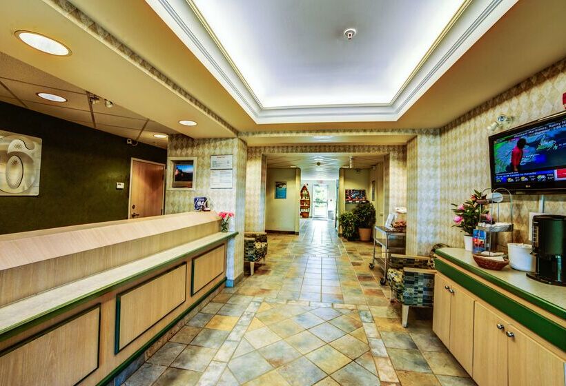 Motel 6huntsville, On