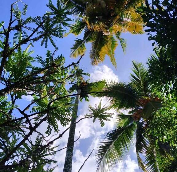 住宿加早餐 Mirissa Beach House