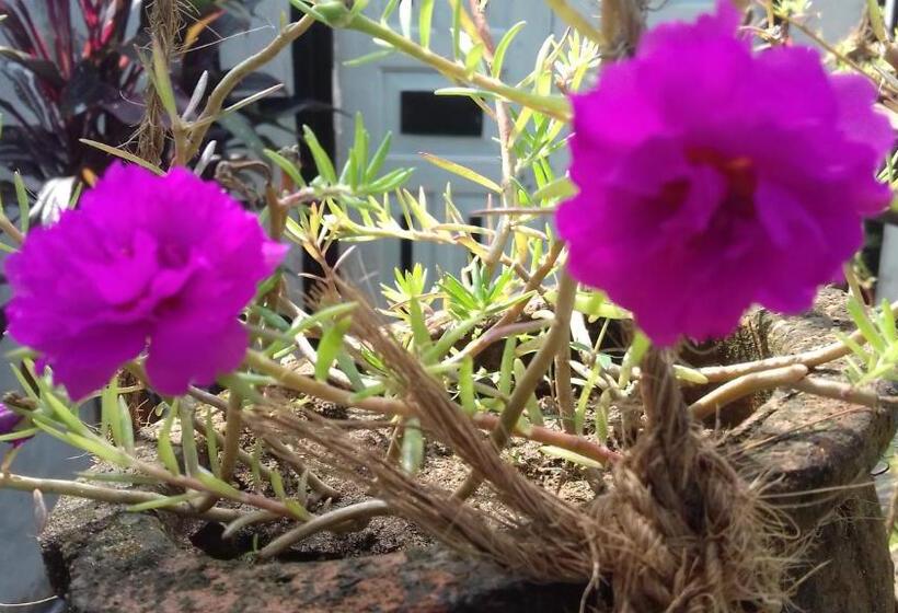 住宿加早餐 Mirissa Beach House