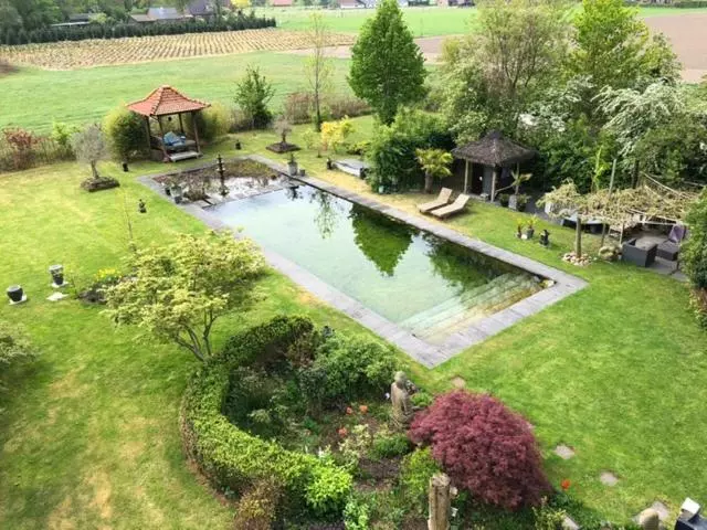 ベッドアンドブレックファースト Rumah Indo Garden