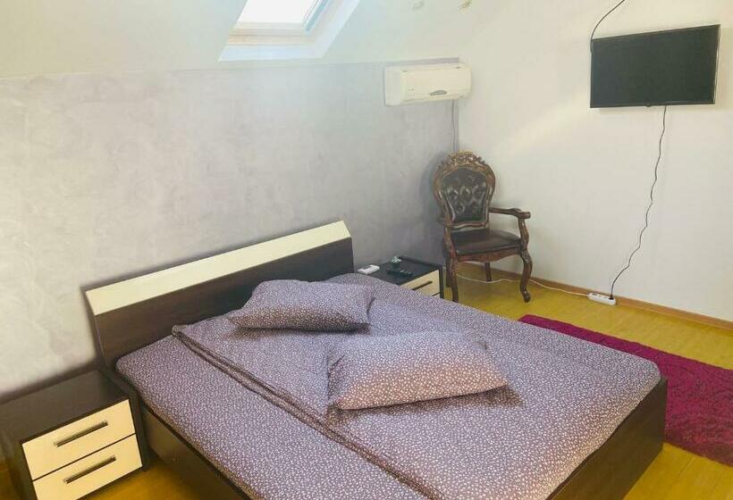 פנסיון Casa Petrișor