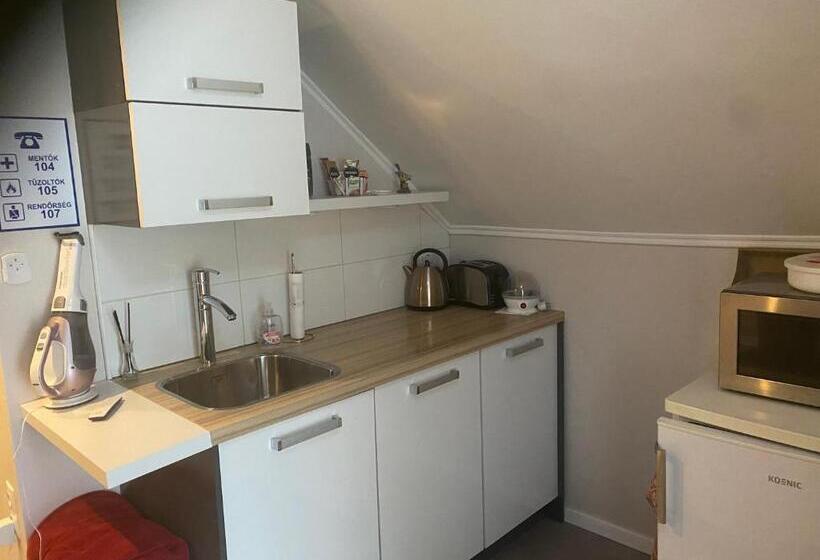 膳宿费 Maria Vendéghaz