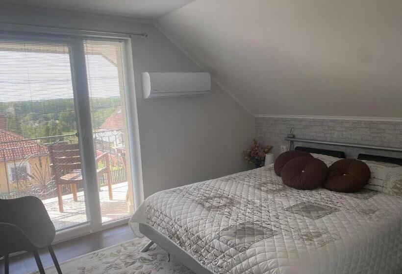 膳宿费 Maria Vendéghaz