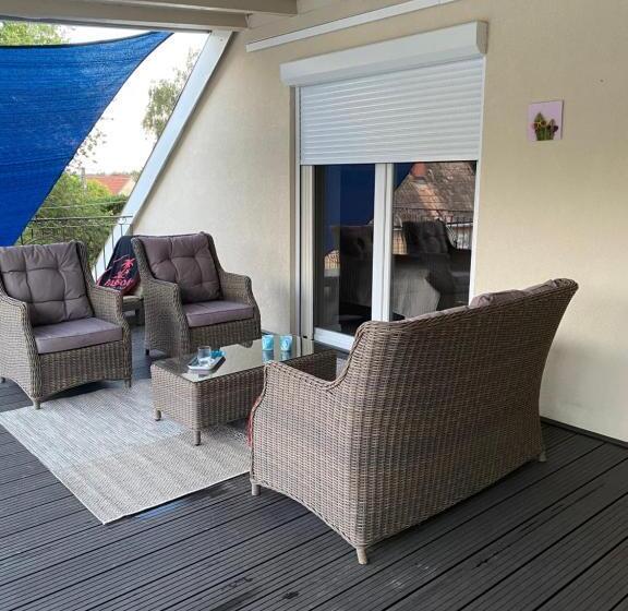 膳宿费 Maria Vendéghaz