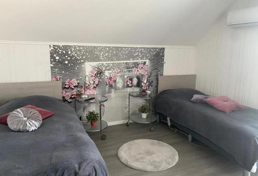 膳宿费 Maria Vendéghaz