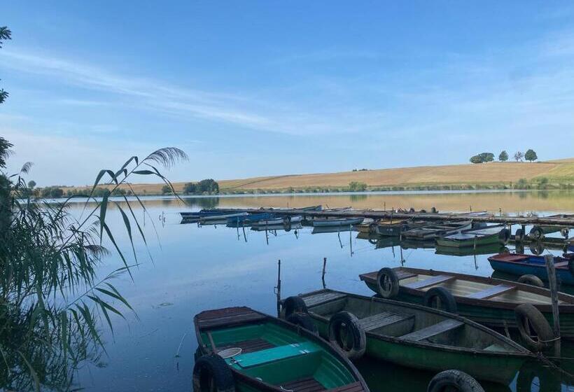 膳宿费 Maria Vendéghaz