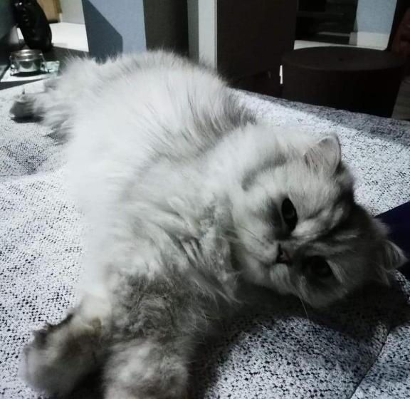 민박 Chez Marianne