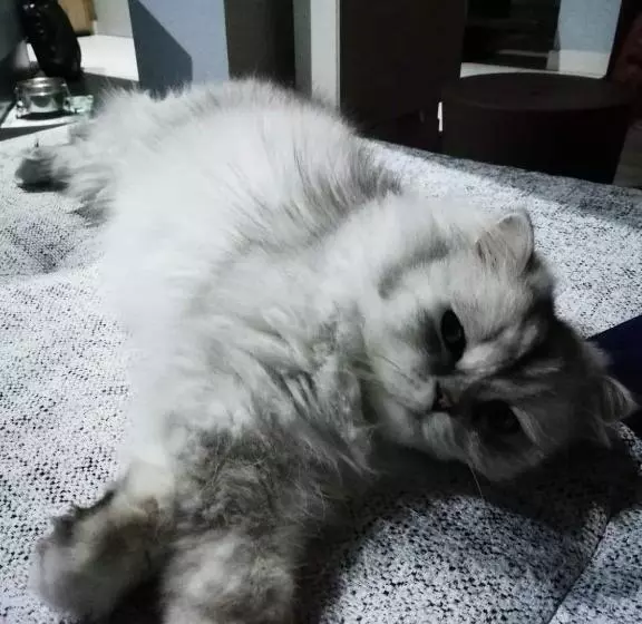 Aamiaismajoitus (B&B) Chez Marianne