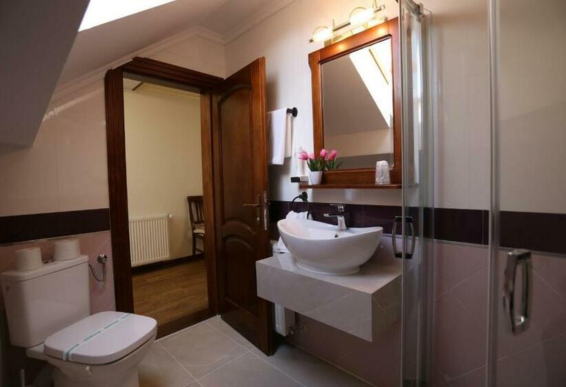 ホテル Pensiunea Trei Pini