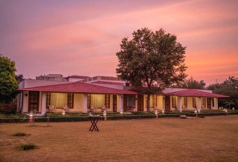 Hotel Sariska Safari Lodge