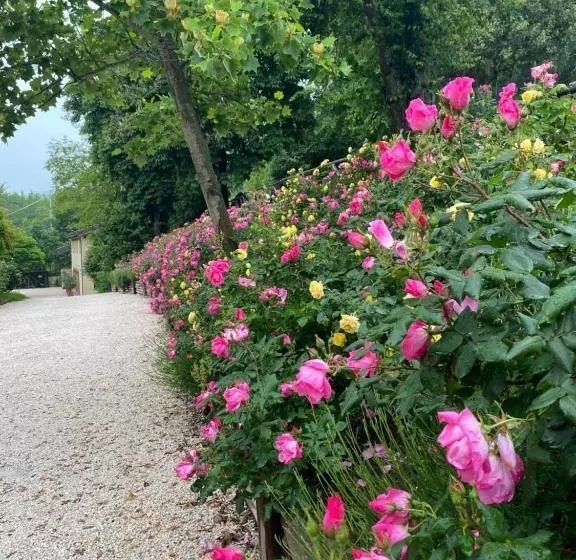 ホテル Torre Del Barbagianni   Castello Di Gropparello