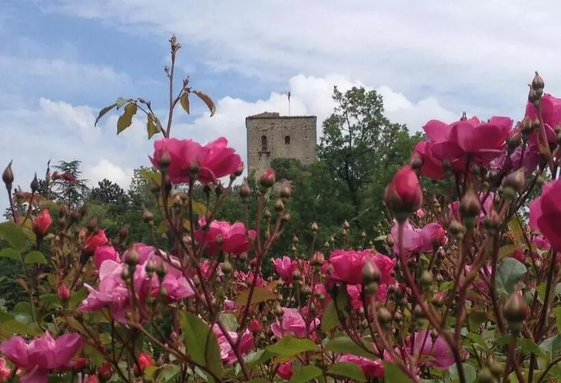 ホテル Torre Del Barbagianni   Castello Di Gropparello