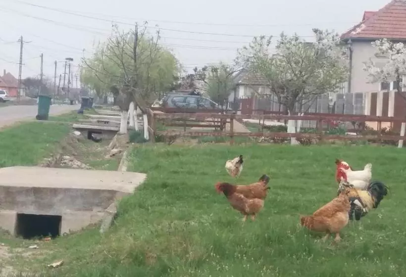 Majatalo Casa Traditionala Ardeleana